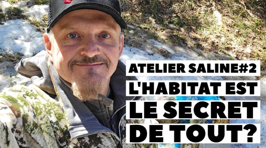 Atelier saline #2: L'habitat fait toute la différence pour vos salines!