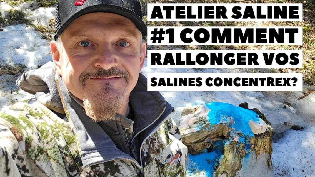 Atelier Saline#1 - Comment augmenter la vie d'une saline?